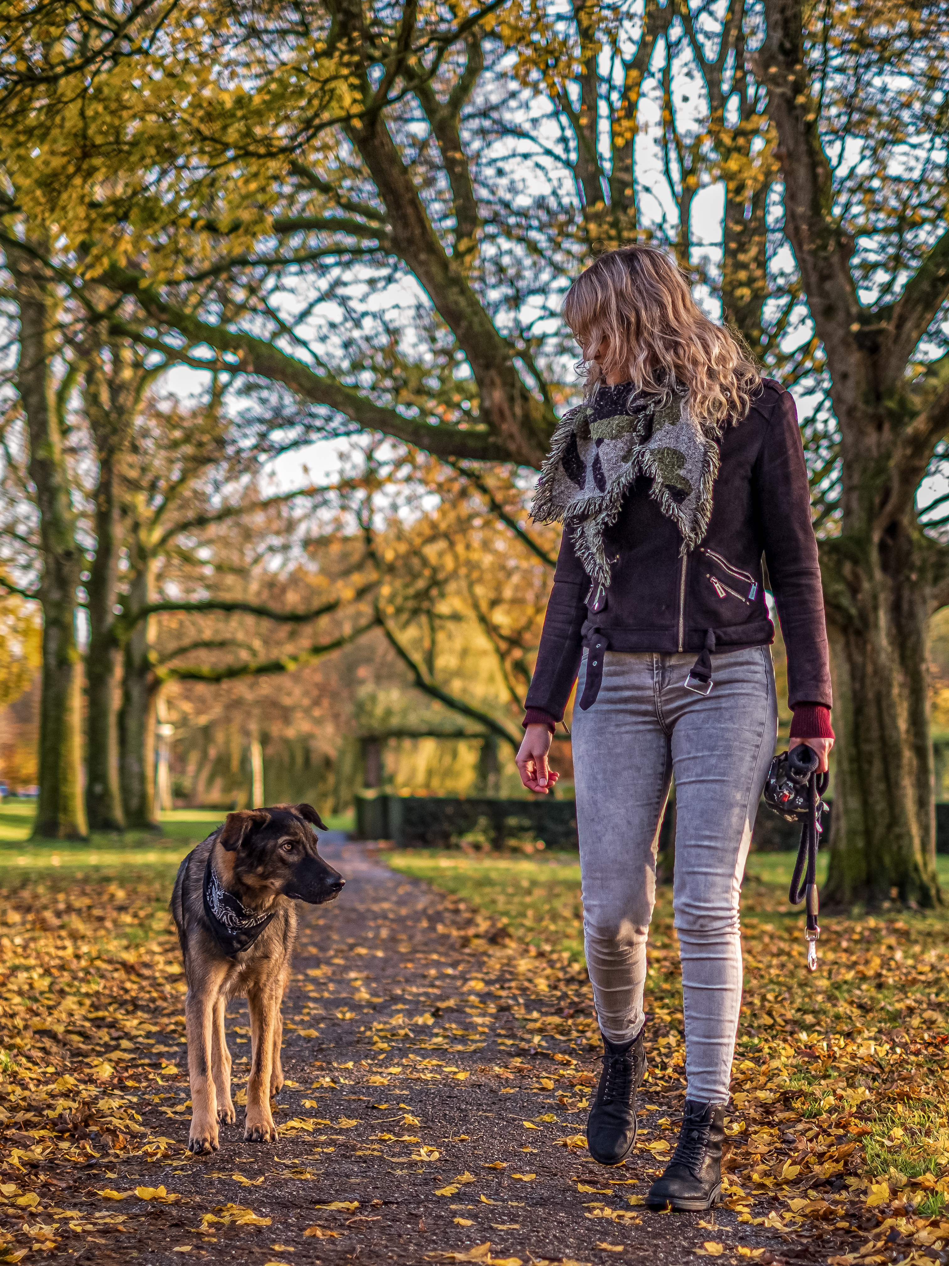 hondencoach Groningen hondentrainer Groningen gedragstherapie hond Groningen hondengedrag verbeteren persoonlijke hondencoaching hondentraining op maat positieve hondentraining hondentaal leren begrijpen wandelconsult hond Groningen hondentaal herkennen tijdens wandeling trainingstraject hond op maat hondentrainingsconsult aan huis hulp bij probleemgedrag hond hondengedrag analyseren individuele hondencoaching hondencoach Pioenpark Groningen hondentraining omgeving Groningen gedragstherapie hond Drenthe hondencoach regio Groningen hondencoach regio Friesland hondentraining in de buurt hulp bij angstige hond hulp bij agressieve hond hulp bij reactieve hond ondersteuning voor nieuwe hondeneigenaren gedragsadvies voor honden training voor reactieve honden begeleiding bij herplaatsers hondengedragstherapeut Groningen hondentraining zonder straf hondentraining met positieve bekrachtiging hondentaal leren lezen hondengedrag verbeteren zonder dwang Pack training Groepswandelingen