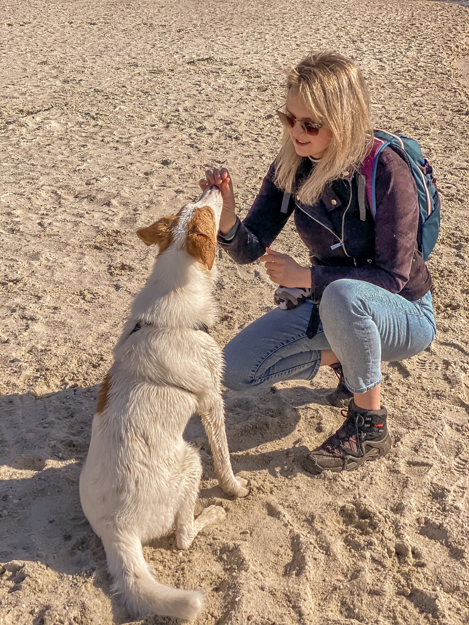 hondencoach Groningen hondentrainer Groningen gedragstherapie hond Groningen hondengedrag verbeteren persoonlijke hondencoaching hondentraining op maat positieve hondentraining hondentaal leren begrijpen wandelconsult hond Groningen hondentaal herkennen tijdens wandeling trainingstraject hond op maat hondentrainingsconsult aan huis hulp bij probleemgedrag hond hondengedrag analyseren individuele hondencoaching hondencoach Pioenpark Groningen hondentraining omgeving Groningen gedragstherapie hond Drenthe hondencoach regio Groningen hondencoach regio Friesland hondentraining in de buurt hulp bij angstige hond hulp bij agressieve hond hulp bij reactieve hond ondersteuning voor nieuwe hondeneigenaren gedragsadvies voor honden training voor reactieve honden begeleiding bij herplaatsers hondengedragstherapeut Groningen hondentraining zonder straf hondentraining met positieve bekrachtiging hondentaal leren lezen hondengedrag verbeteren zonder dwang Pack training Groepswandelingen