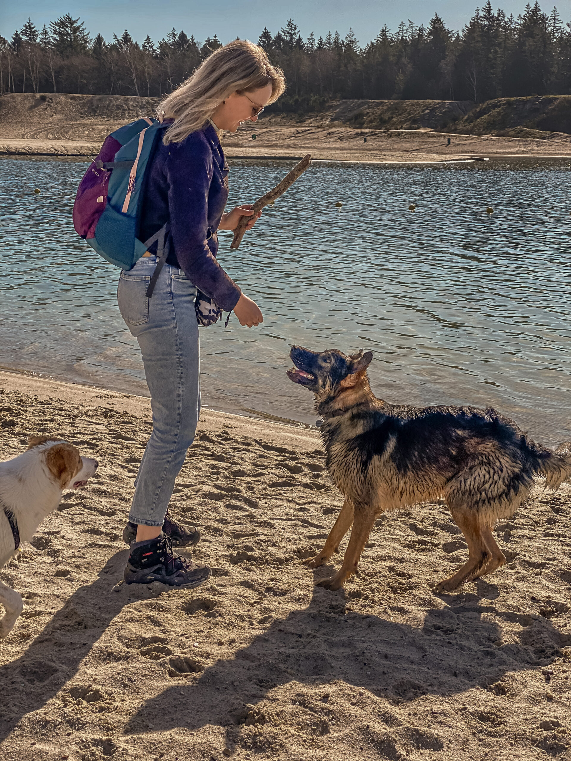 hondencoach Groningen hondentrainer Groningen gedragstherapie hond Groningen hondengedrag verbeteren persoonlijke hondencoaching hondentraining op maat positieve hondentraining hondentaal leren begrijpen wandelconsult hond Groningen hondentaal herkennen tijdens wandeling trainingstraject hond op maat hondentrainingsconsult aan huis hulp bij probleemgedrag hond hondengedrag analyseren individuele hondencoaching hondencoach Pioenpark Groningen hondentraining omgeving Groningen gedragstherapie hond Drenthe hondencoach regio Groningen hondencoach regio Friesland hondentraining in de buurt hulp bij angstige hond hulp bij agressieve hond hulp bij reactieve hond ondersteuning voor nieuwe hondeneigenaren gedragsadvies voor honden training voor reactieve honden begeleiding bij herplaatsers hondengedragstherapeut Groningen hondentraining zonder straf hondentraining met positieve bekrachtiging hondentaal leren lezen hondengedrag verbeteren zonder dwang Pack training Groepswandelingen